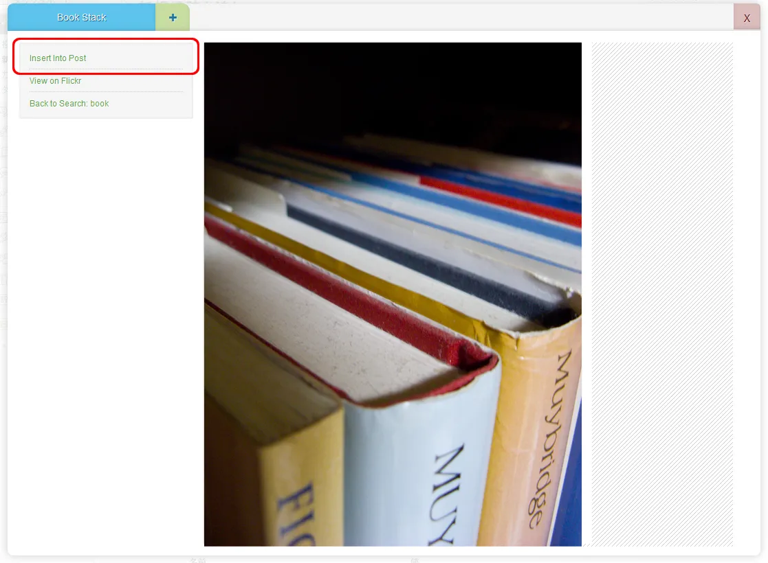 選択した画像の表示